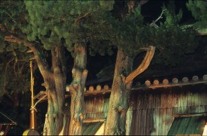 P62歌舞伎小屋裏